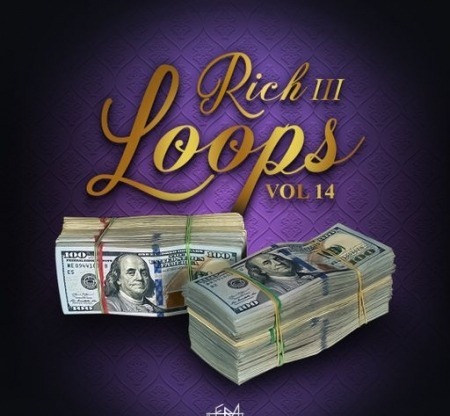 DiyMusicBiz Rich Loops Vol 14 WAV